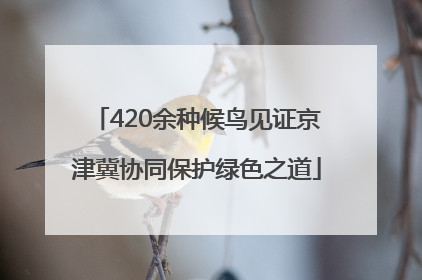 420余种候鸟见证京津冀协同保护绿色之道