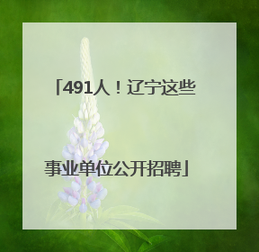 491人！辽宁这些事业单位公开招聘