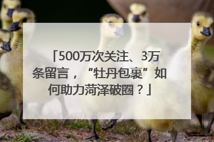 500万次关注、3万条留言，“牡丹包裹”如何助力菏泽破圈？