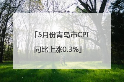 5月份青岛市CPI同比上涨0.3%