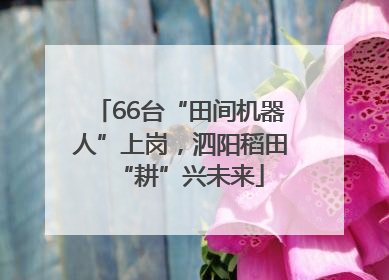 66台“田间机器人”上岗，泗阳稻田“耕”兴未来