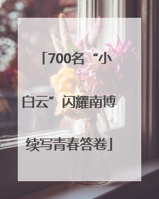 700名“小白云”闪耀南博续写青春答卷