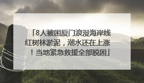 8人被困厦门浪漫海岸线红树林淤泥，潮水还在上涨！当地紧急救援全部脱困
