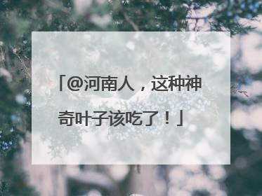 @河南人，这种神奇叶子该吃了！