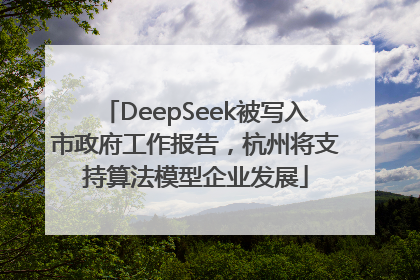 DeepSeek被写入市政府工作报告，杭州将支持算法模型企业发展