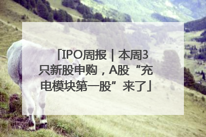 IPO周报｜本周3只新股申购，A股“充电模块第一股”来了