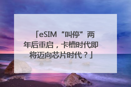 eSIM“叫停”两年后重启，卡槽时代即将迈向芯片时代？